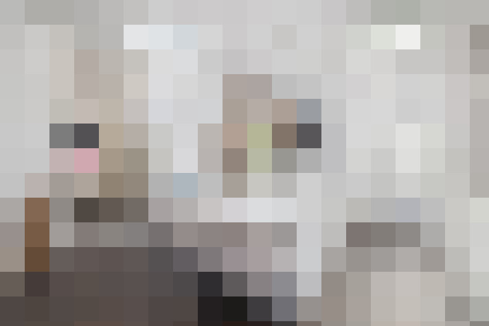  / #61