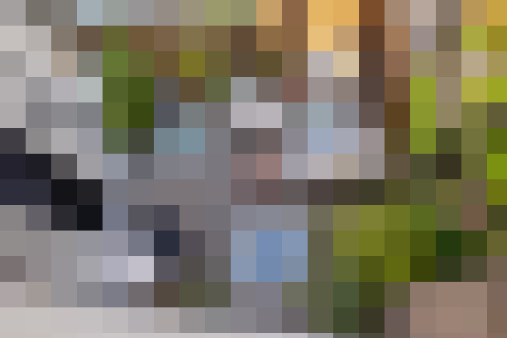  / #66