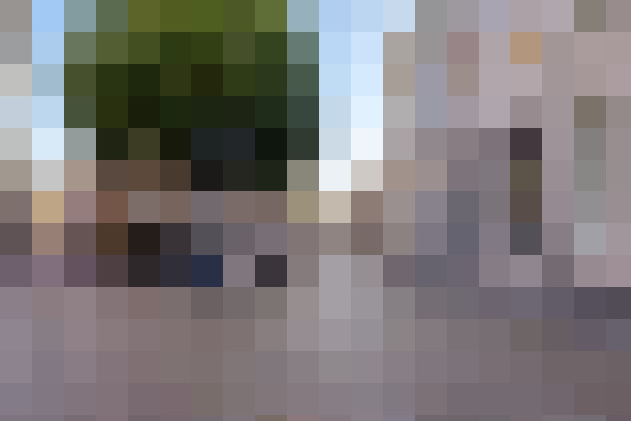  / #77