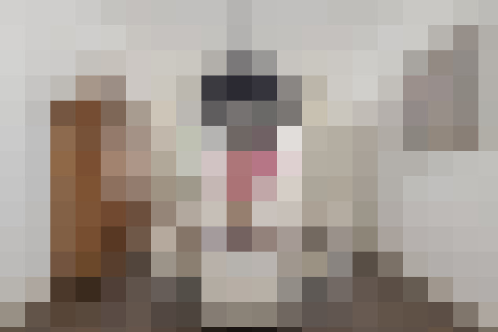  / #62