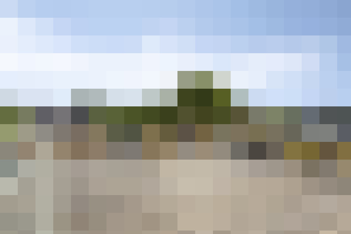  / #59