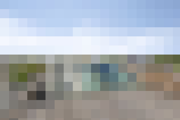  / #61