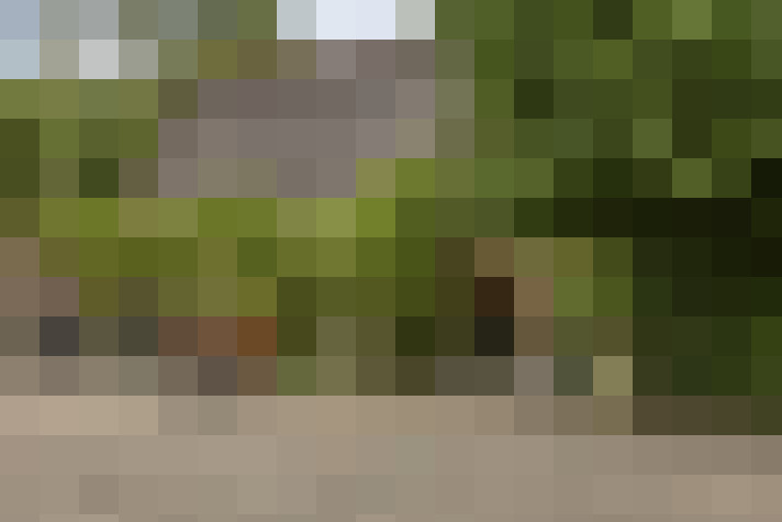  / #71