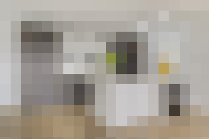  / #24