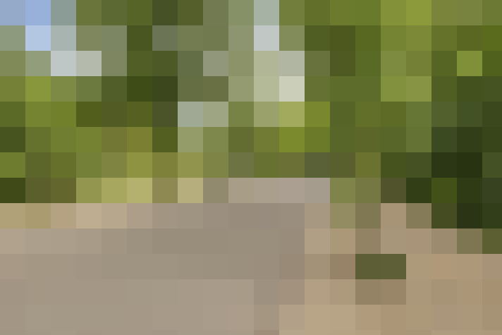  / #73