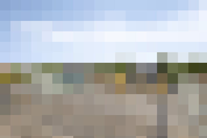  / #58