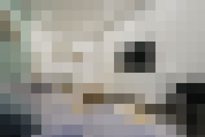  / #13