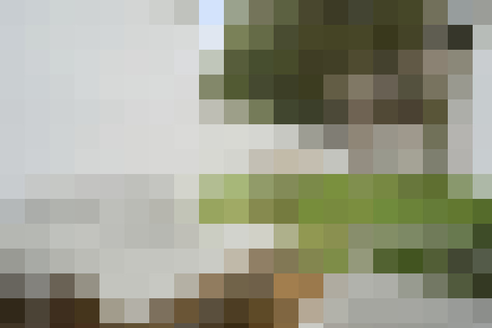  / #17