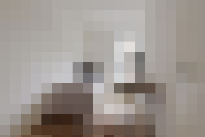  / #8