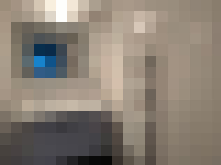  / #6