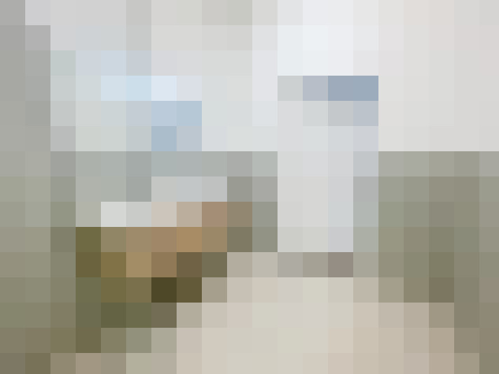  / #8