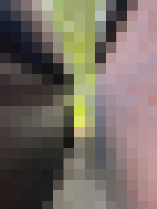  / #26
