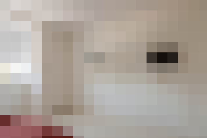  / #19