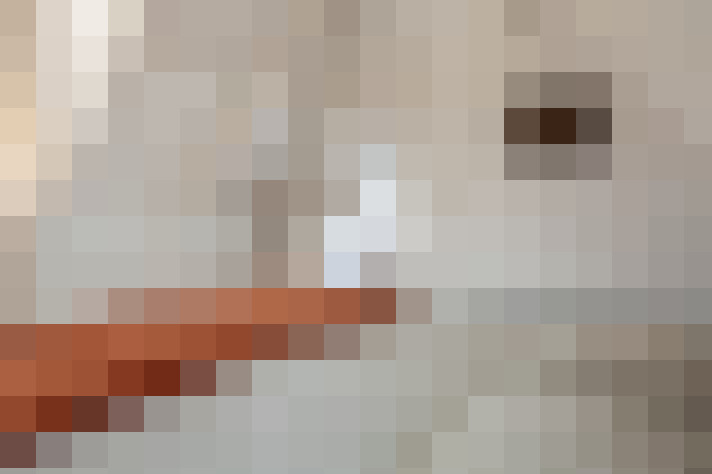  / #27