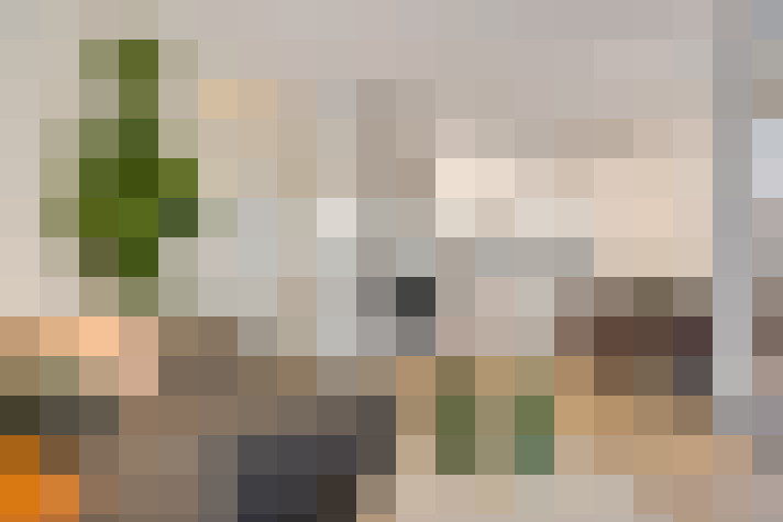  / #23