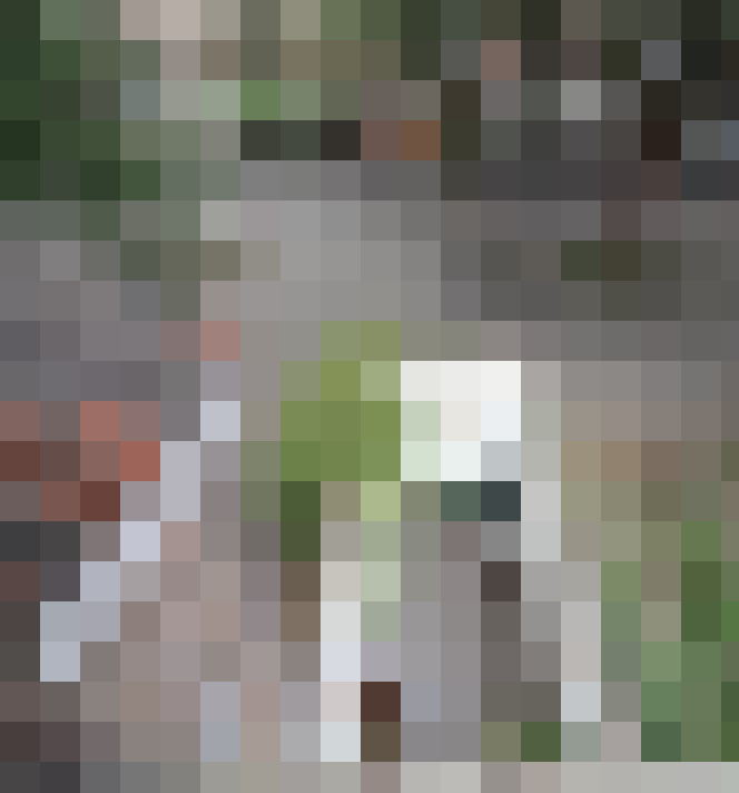  / #13