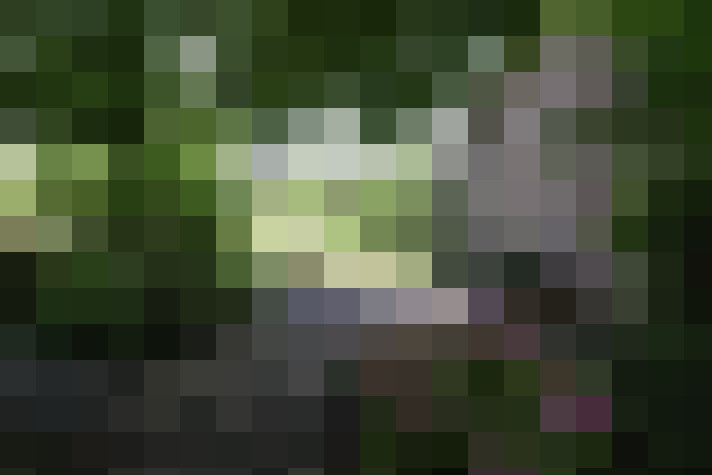  / #18