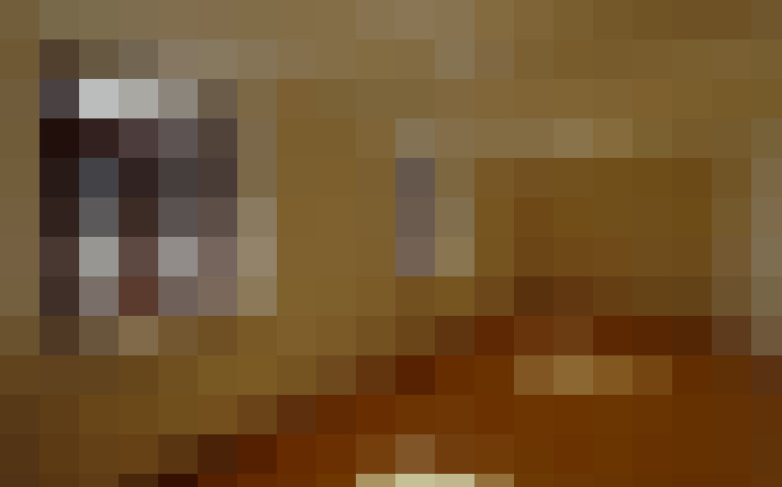  / #8
