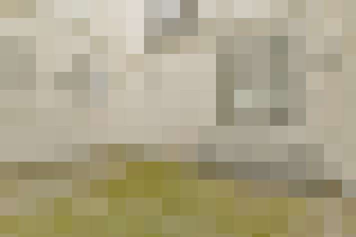  / #26