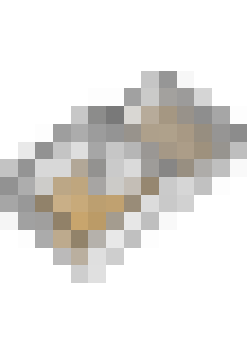  / #53