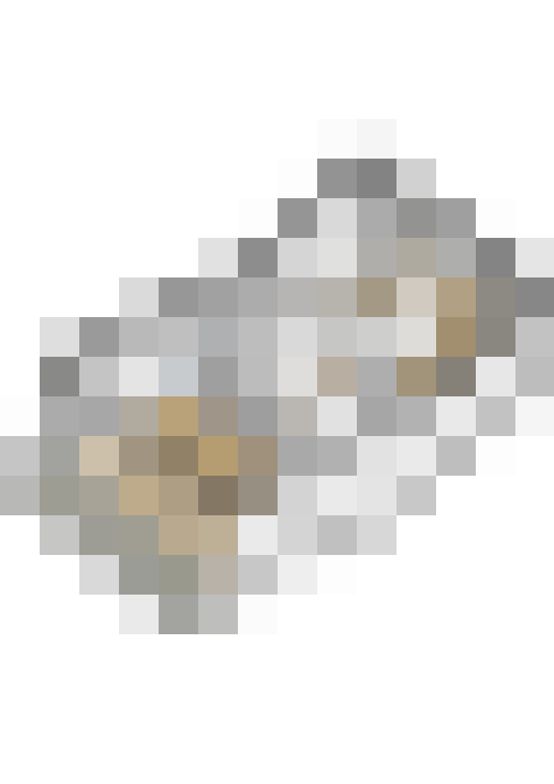  / #55