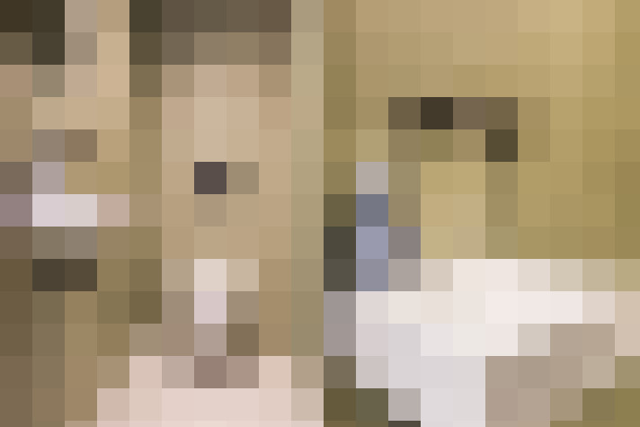  / #33