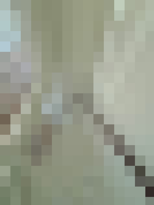  / #19