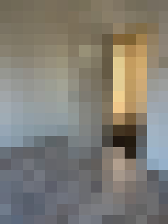  / #16