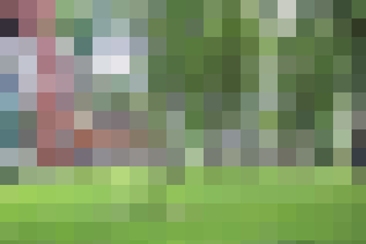  / #14
