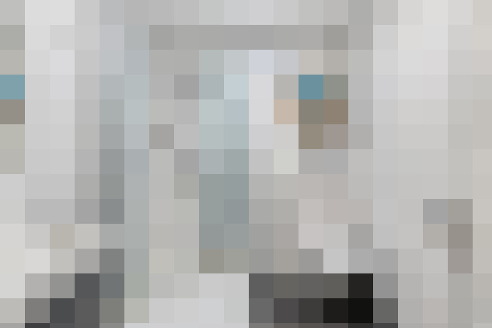  / #16