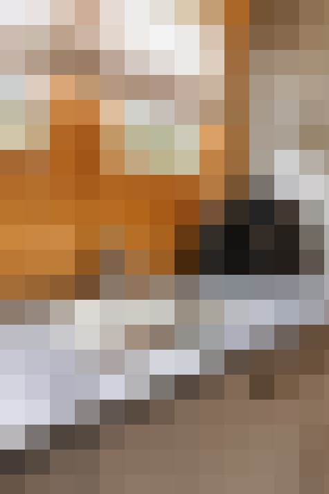  / #19