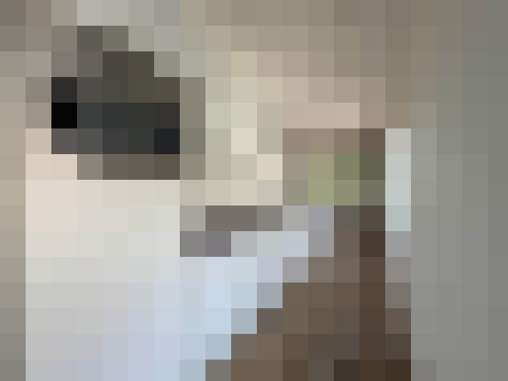 / #15