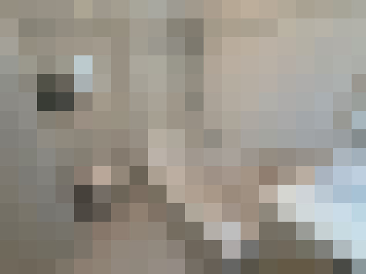  / #14
