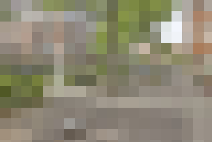  / #15