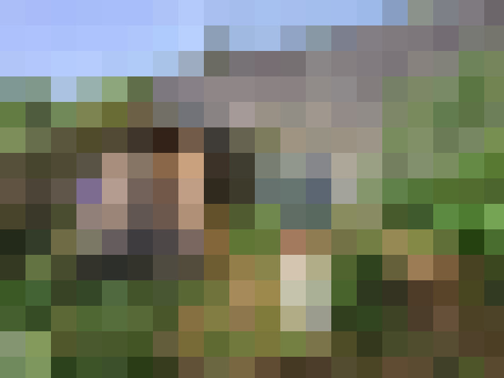  / #15