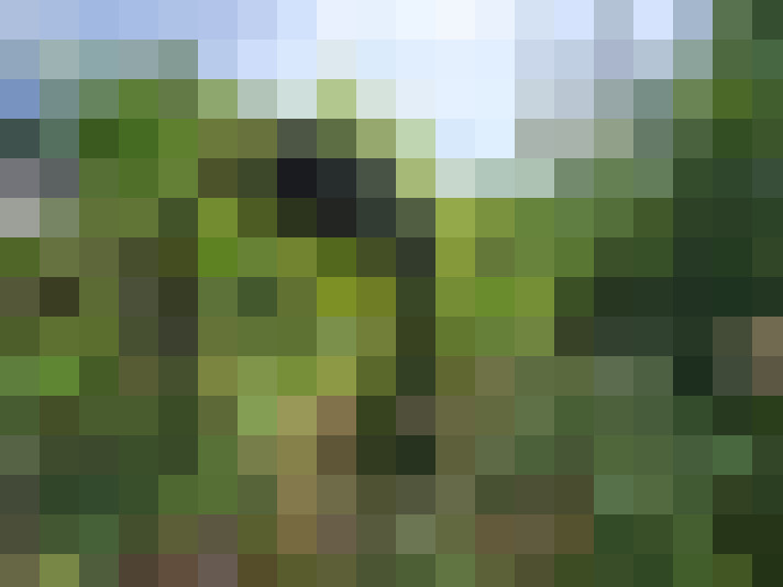  / #16