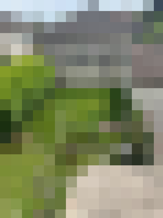  / #7