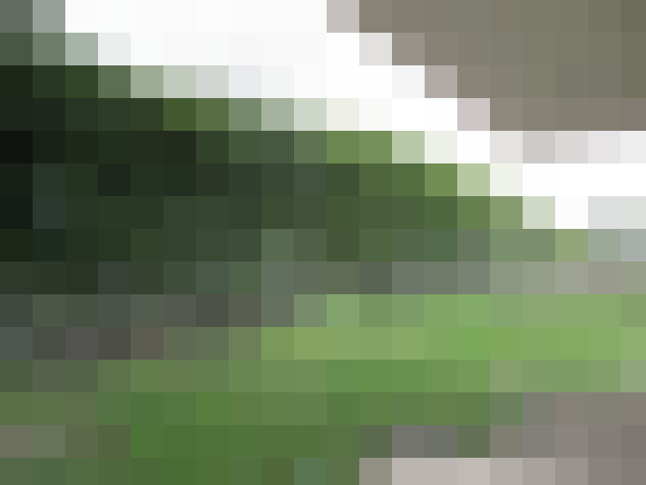  / #7