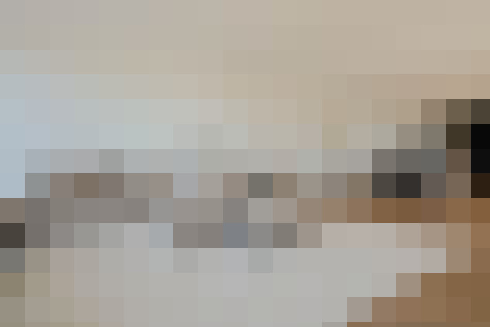  / #15