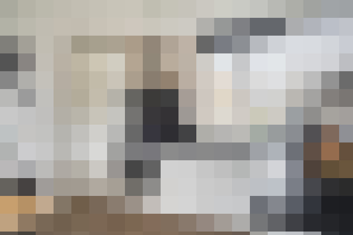  / #11