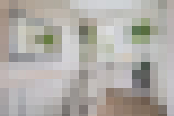  / #13