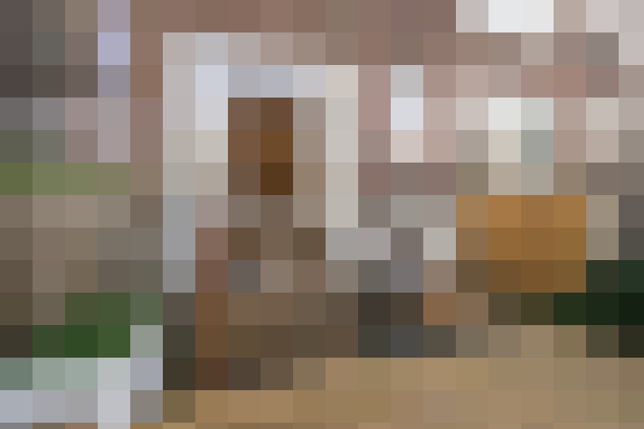  / #21