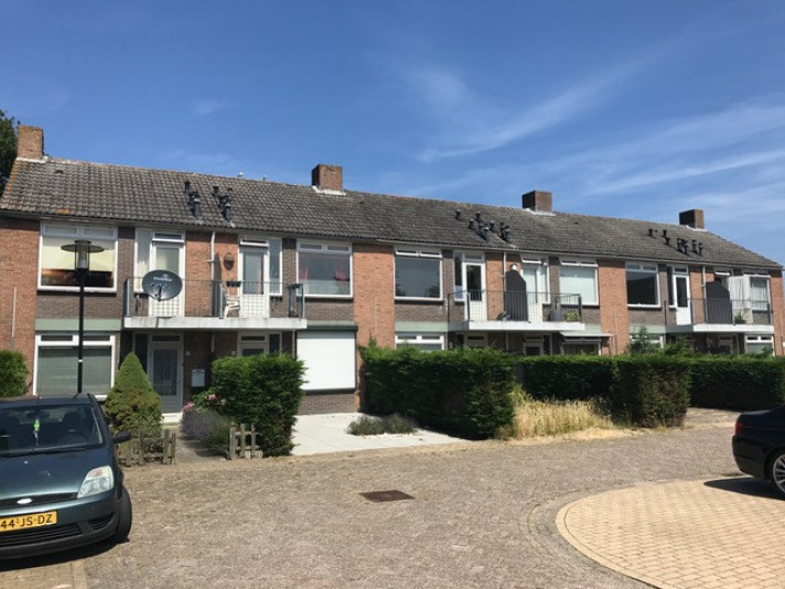Bekijk foto 1/18 van apartment in Terneuzen