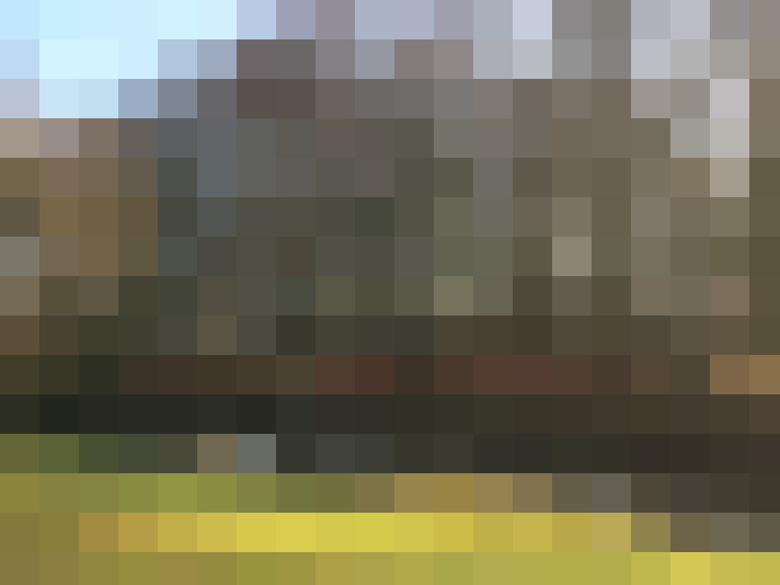  / #16