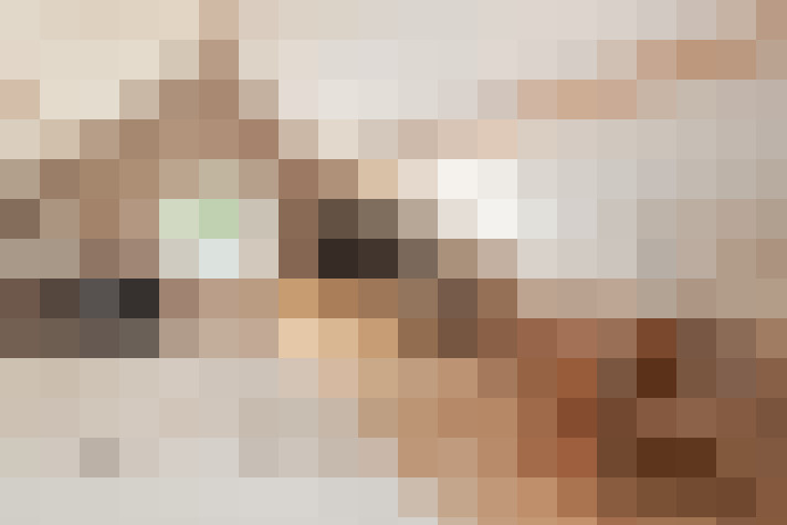  / #31