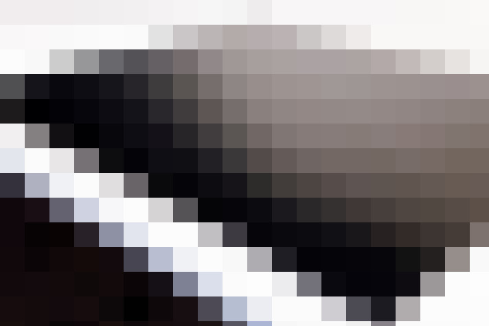  / #19