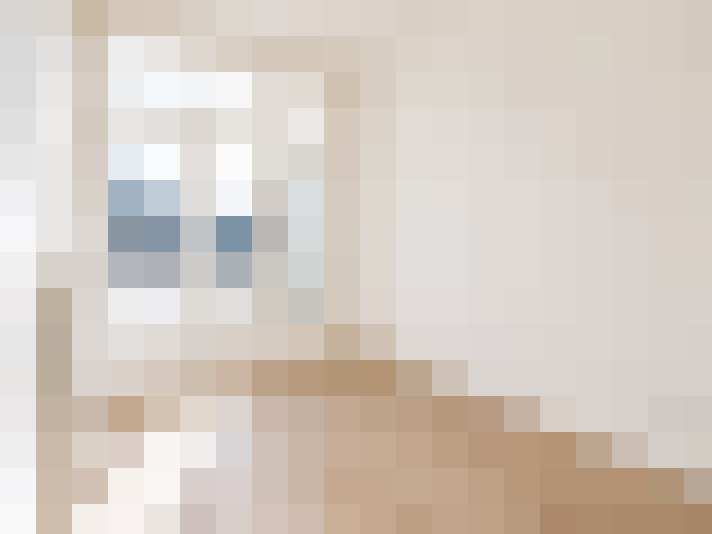  / #16