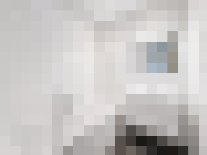  / #17