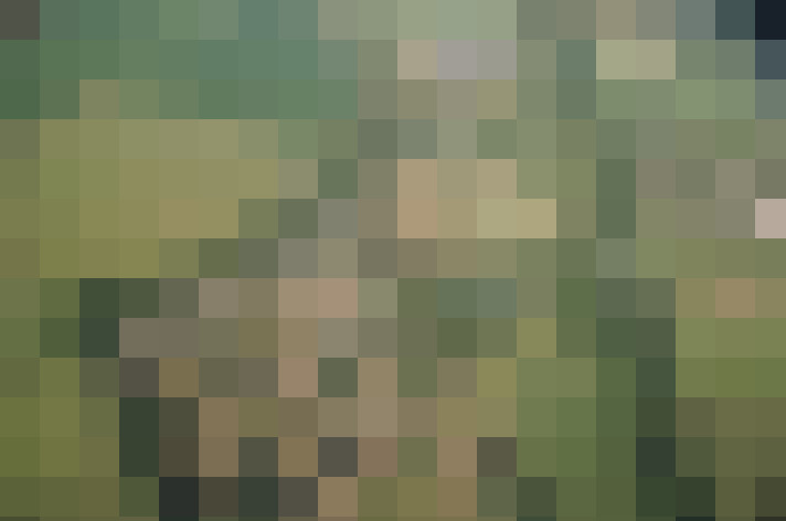  / #19
