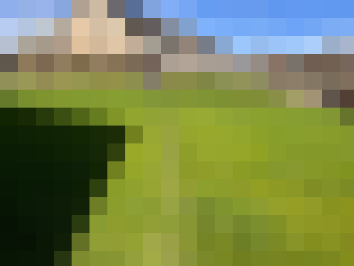  / #16
